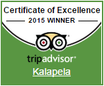 Certificate of Excellence 2015 Winner